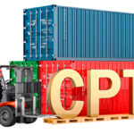 istockphoto 2159958989 612x612 1